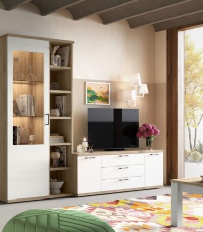 620 salon kronos 5, de ramis