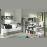 Glicerio chaves formas evolution f003 02