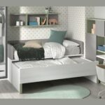 Glicerio chaves formas evolution f003 03
